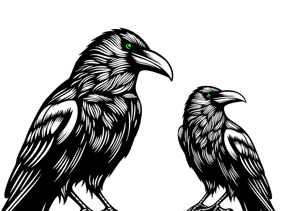 Birds Image